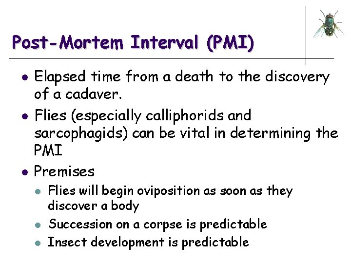 Post-Mortem Interval (PMI) l l l Elapsed time from a death to the discovery