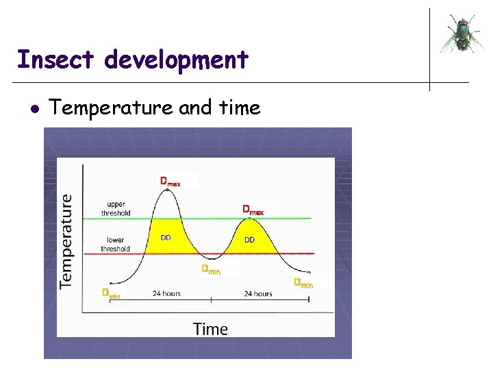 Insect development l Temperature and time 