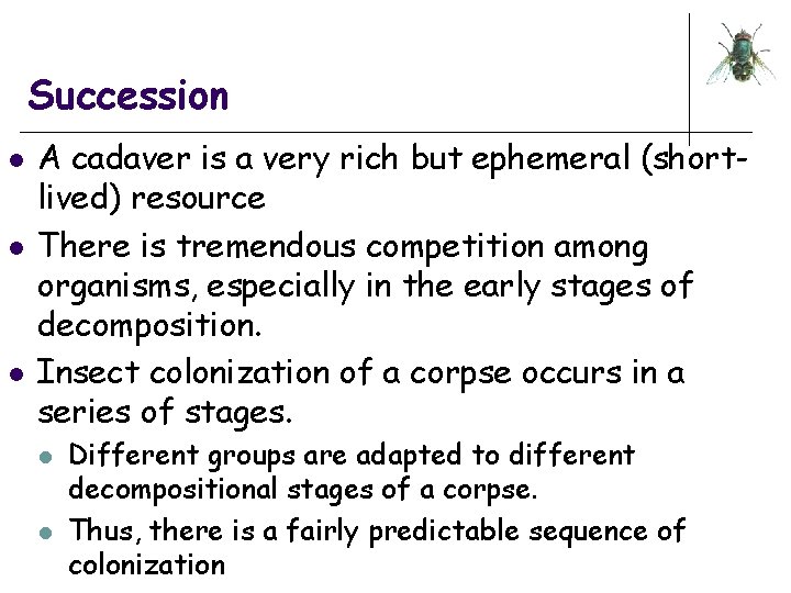 Succession l l l A cadaver is a very rich but ephemeral (shortlived) resource