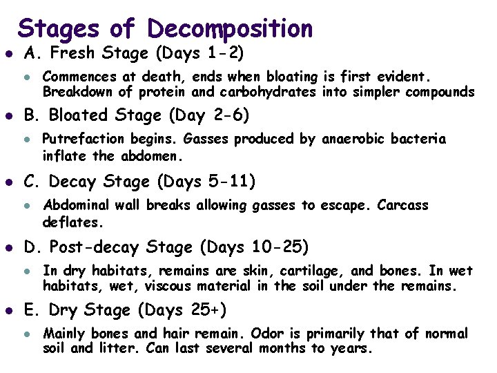 Stages of Decomposition l A. Fresh Stage (Days 1 -2) l l B. Bloated