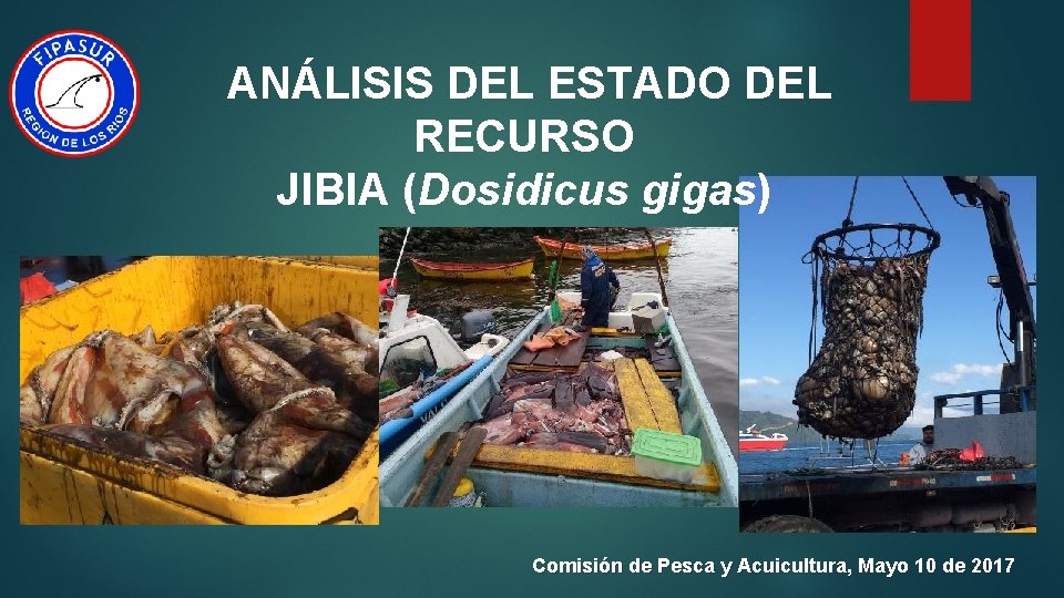 ANÁLISIS DEL ESTADO DEL RECURSO JIBIA (Dosidicus gigas) Comisión de Pesca y Acuicultura, Mayo
