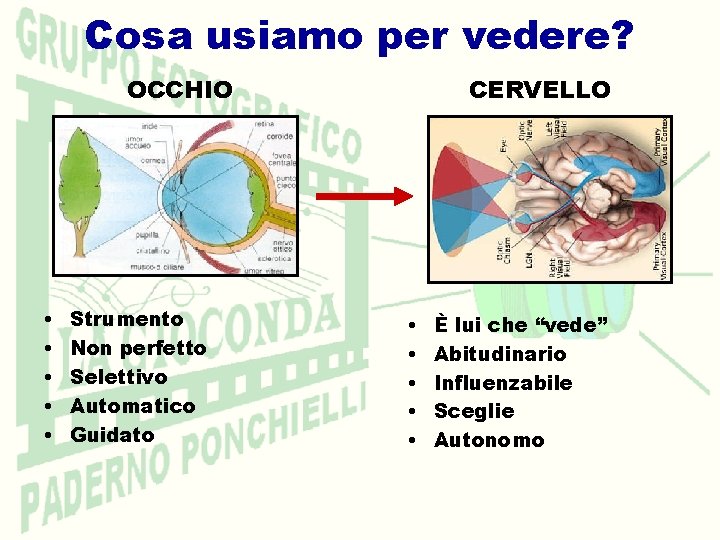 Cosa usiamo per vedere? OCCHIO • • • Strumento Non perfetto Selettivo Automatico Guidato