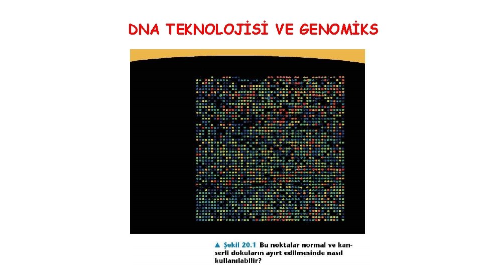 DNA TEKNOLOJİSİ VE GENOMİKS 
