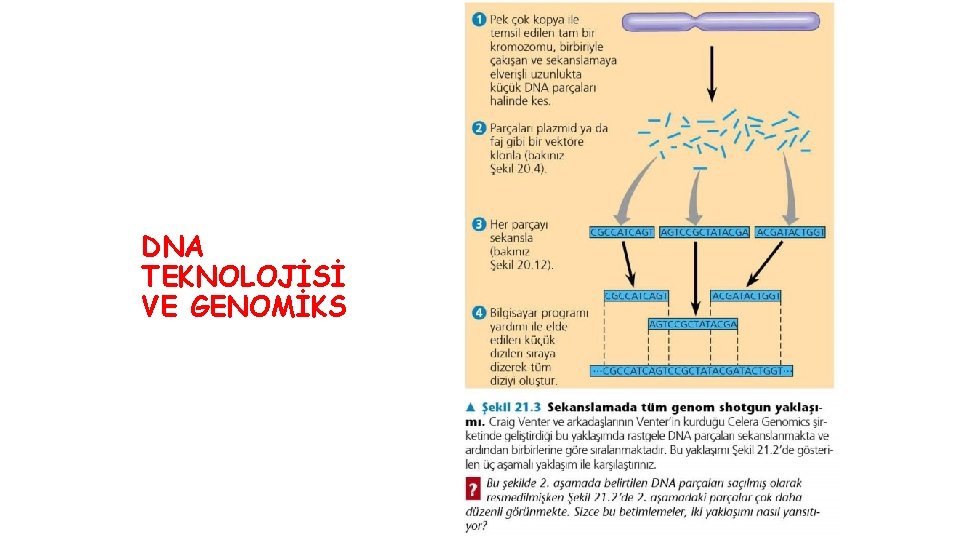 DNA TEKNOLOJİSİ VE GENOMİKS 