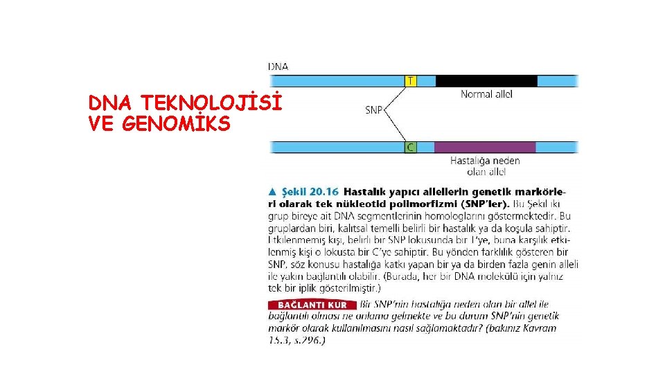 DNA TEKNOLOJİSİ VE GENOMİKS 