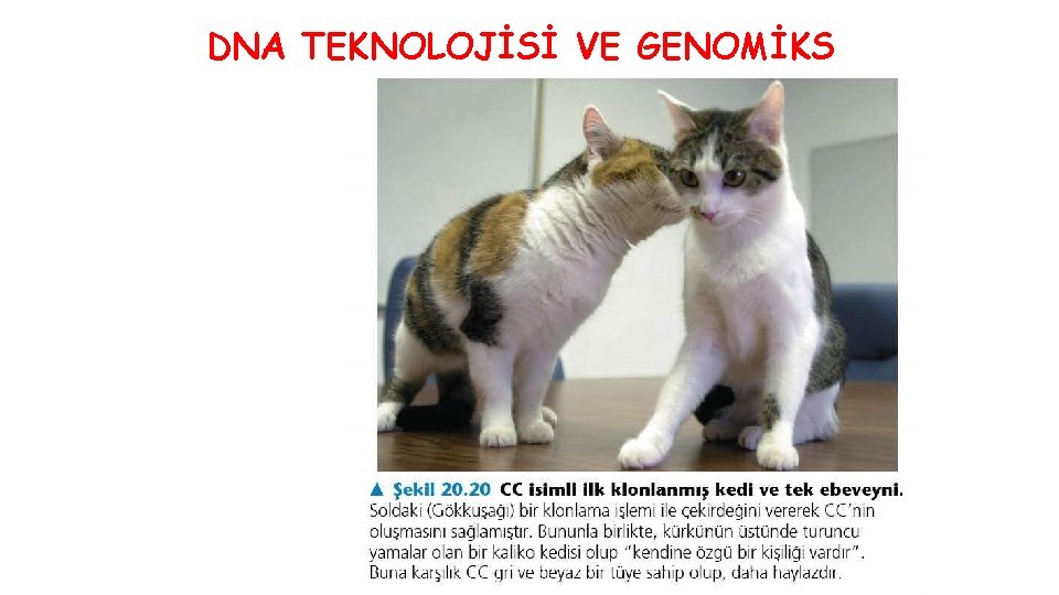 DNA TEKNOLOJİSİ VE GENOMİKS 