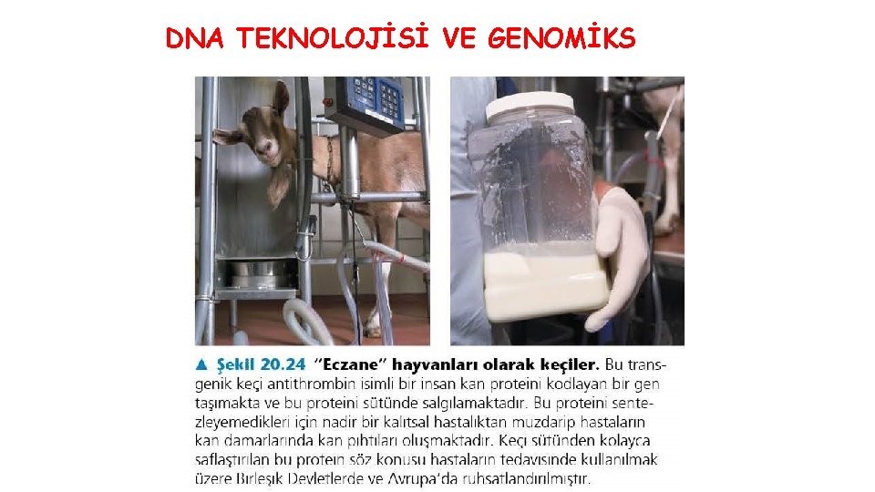 DNA TEKNOLOJİSİ VE GENOMİKS 