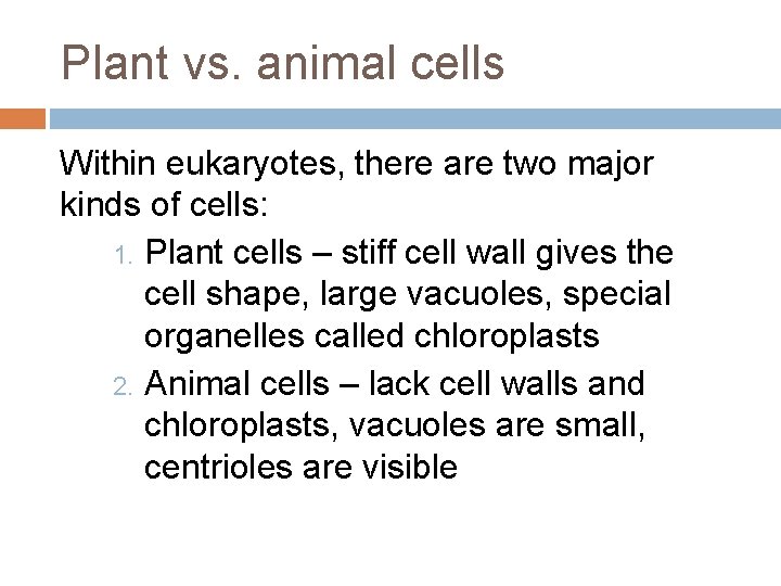 Plant vs. animal cells Within eukaryotes, there are two major kinds of cells: 1.