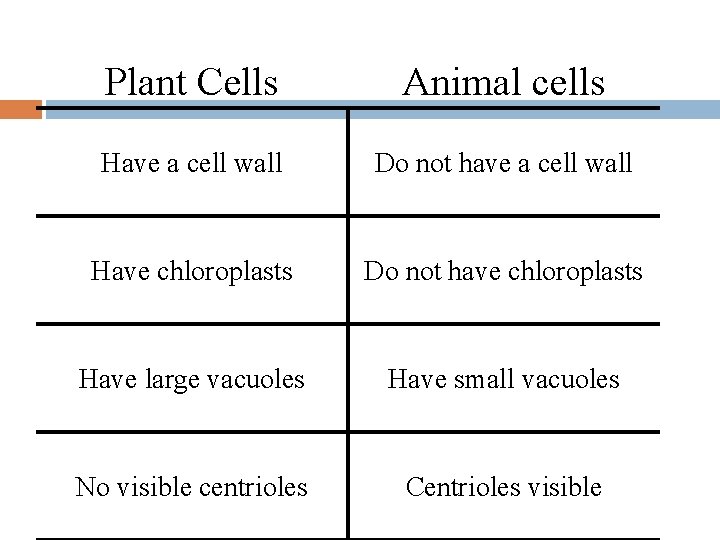 Plant Cells Animal cells Have a cell wall Do not have a cell wall