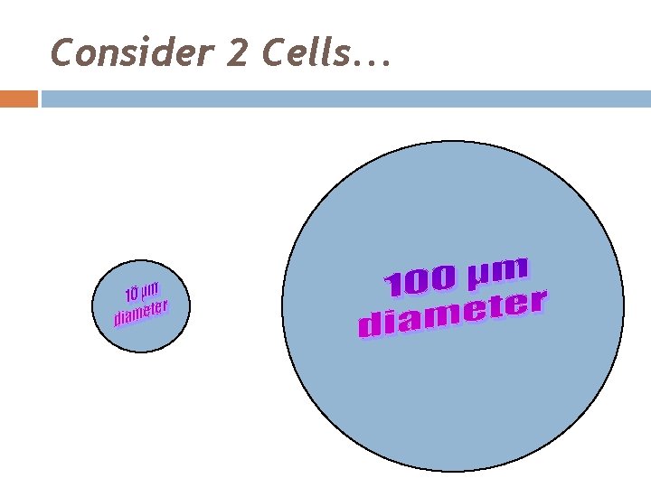 Consider 2 Cells. . . 