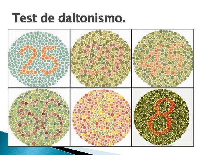 Test de daltonismo. 