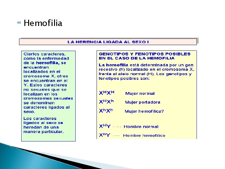  Hemofilia 