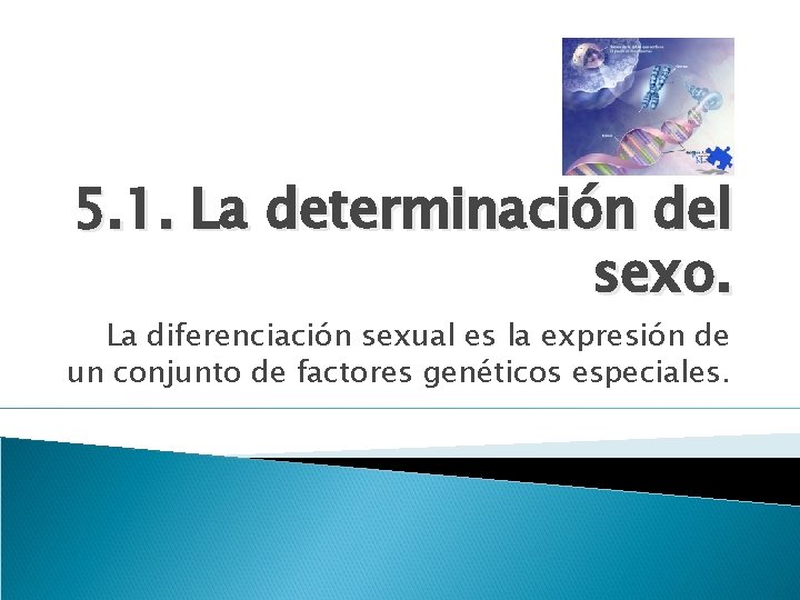 5. 1. La determinación del sexo. La diferenciación sexual es la expresión de un