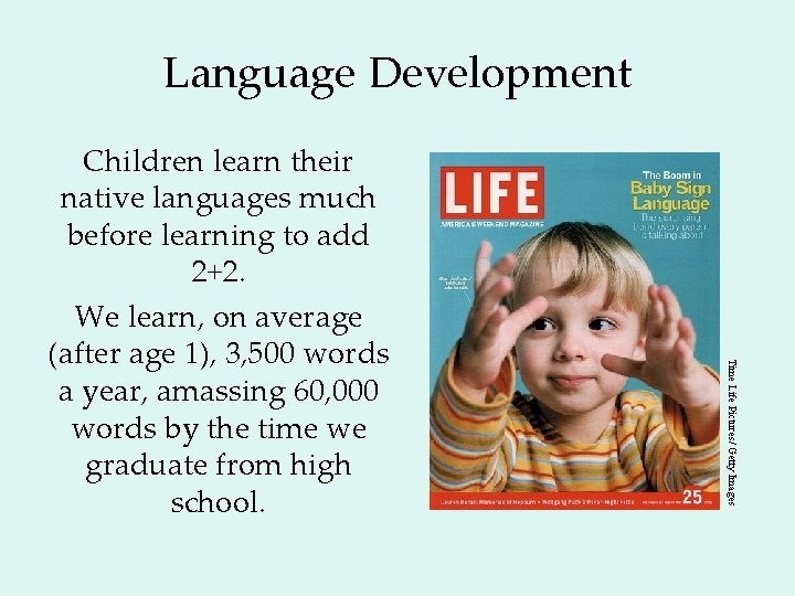 Language Development Time Life Pictures/ Getty Images Children learn their native languages much before