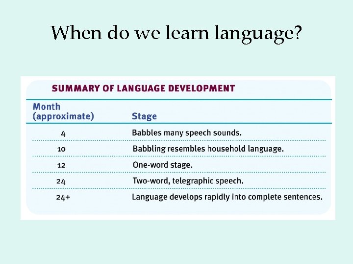 When do we learn language? 