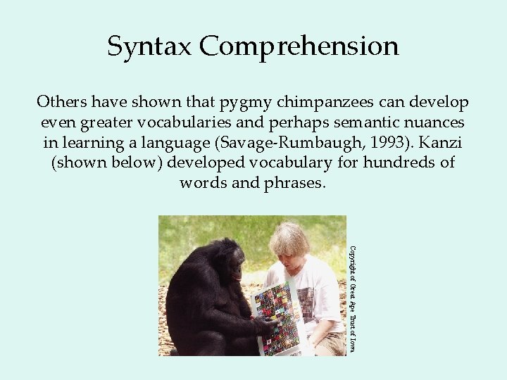 Syntax Comprehension Others have shown that pygmy chimpanzees can develop even greater vocabularies and
