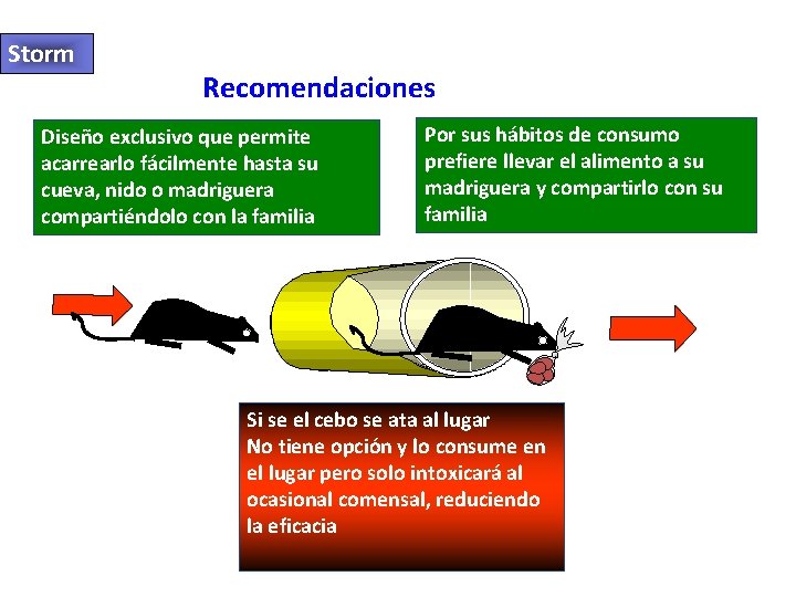 Storm Recomendaciones Diseño exclusivo que permite acarrearlo fácilmente hasta su cueva, nido o madriguera