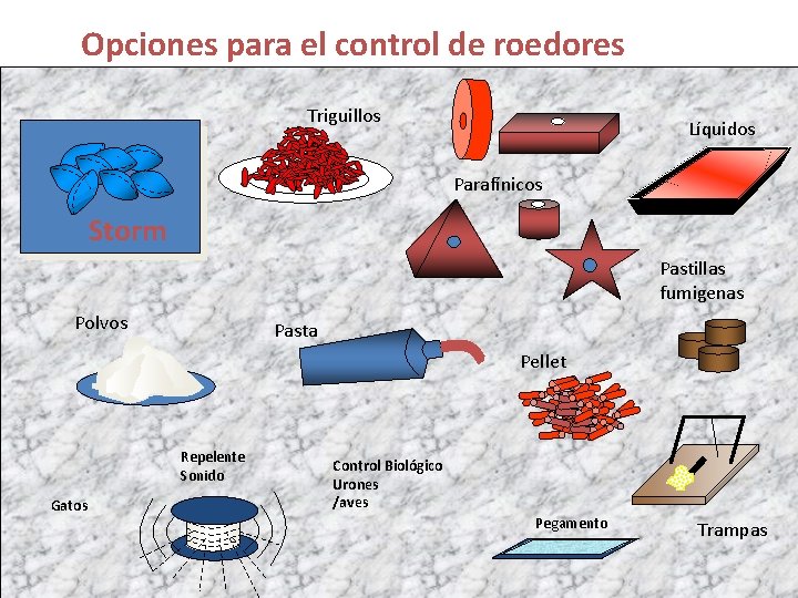 Opciones para el control de roedores Triguillos Líquidos Parafínicos Storm Pastillas fumigenas Polvos Pasta