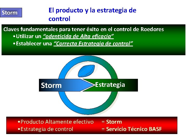 Storm El producto y la estrategia de control Claves fundamentales para tener éxito en