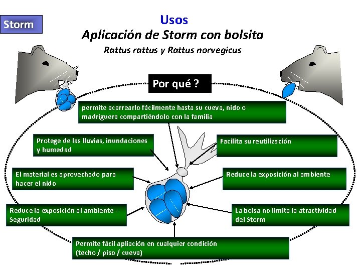 Storm Usos Aplicación de Storm con bolsita Rattus rattus y Rattus norvegicus Por qué