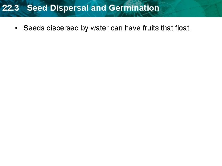 22. 3 Seed Dispersal and Germination • Seeds dispersed by water can have fruits