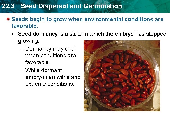 22. 3 Seed Dispersal and Germination Seeds begin to grow when environmental conditions are