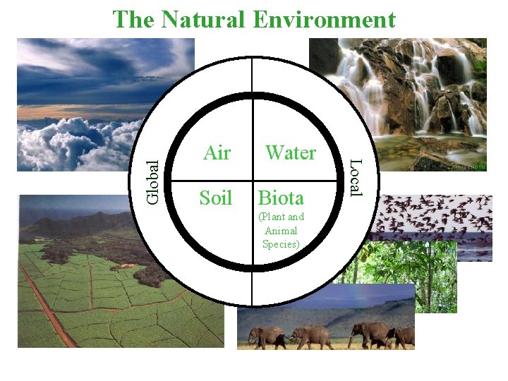 Air Water Soil Biota (Plant and Animal Species) Local Global The Natural Environment 