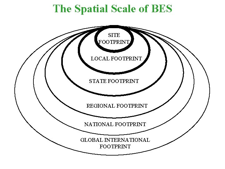 The Spatial Scale of BES SITE FOOTPRINT LOCAL FOOTPRINT STATE FOOTPRINT REGIONAL FOOTPRINT NATIONAL