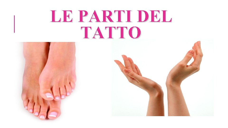 LE PARTI DEL TATTO 