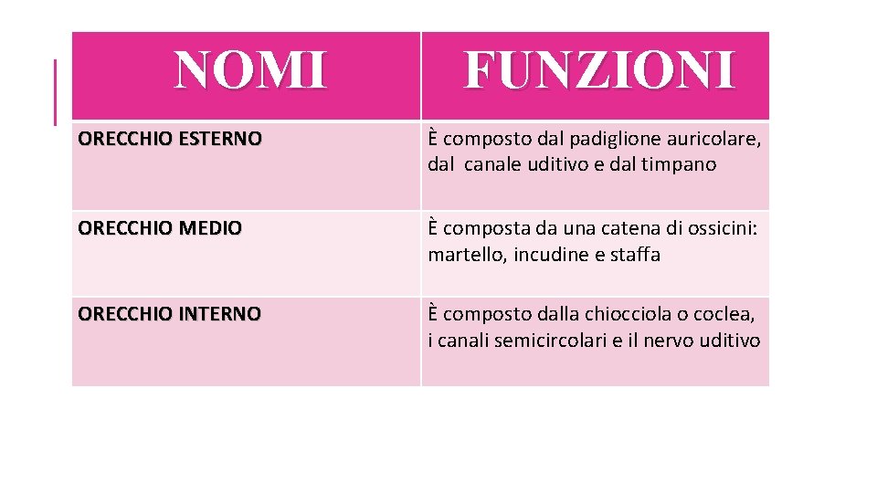 NOMI FUNZIONI ORECCHIO ESTERNO È composto dal padiglione auricolare, dal canale uditivo e dal