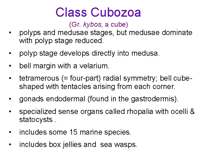 Class Cubozoa (Gr. kybos, a cube) • polyps and medusae stages, but medusae dominate Class Cubozoa (Gr. kybos, a cube) • polyps and medusae stages, but medusae dominate
