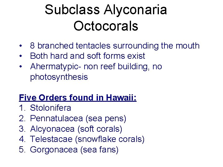Subclass Alyconaria Octocorals • 8 branched tentacles surrounding the mouth • Both hard and