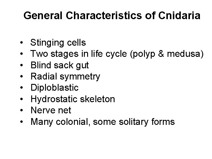 General Characteristics of Cnidaria • • Stinging cells Two stages in life cycle (polyp