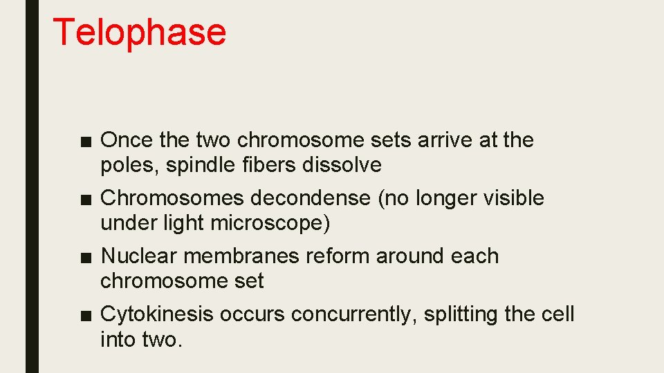 Telophase ■ Once the two chromosome sets arrive at the poles, spindle fibers dissolve
