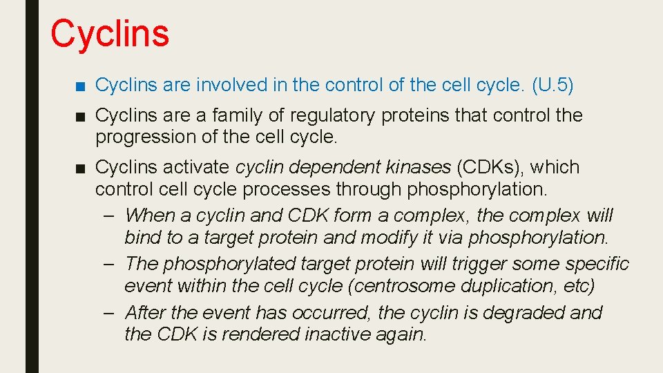 Cyclins ■ Cyclins are involved in the control of the cell cycle. (U. 5)