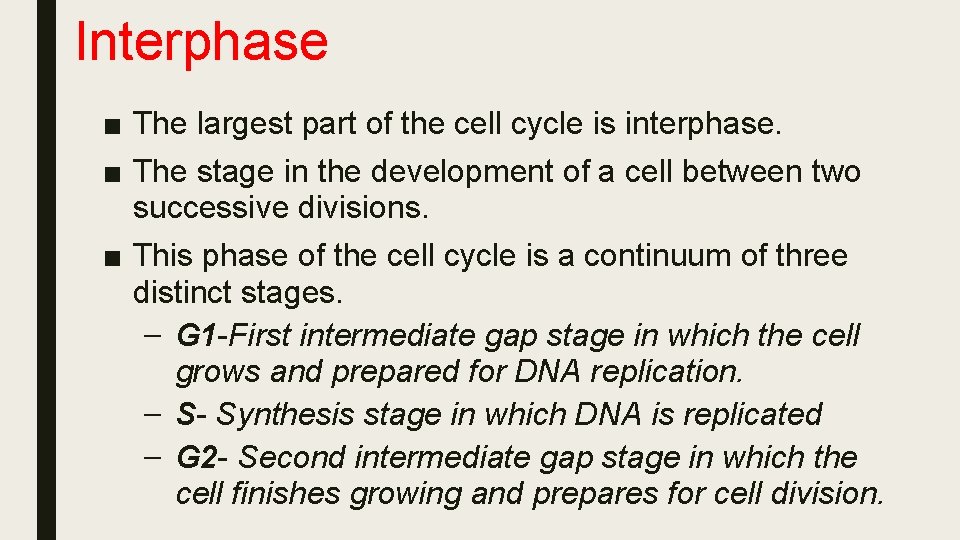 Interphase ■ The largest part of the cell cycle is interphase. ■ The stage