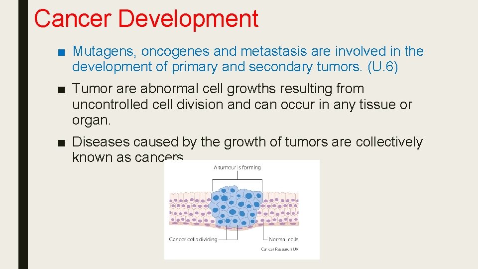 Cancer Development ■ Mutagens, oncogenes and metastasis are involved in the development of primary