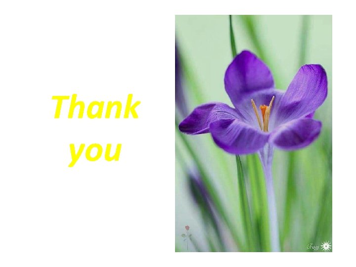 Thank you Thank you