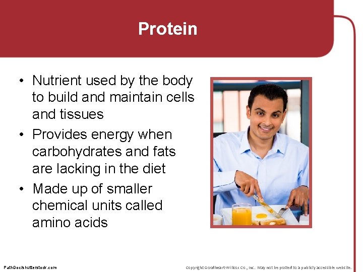 Protein • Nutrient used by the body to build and maintain cells and tissues