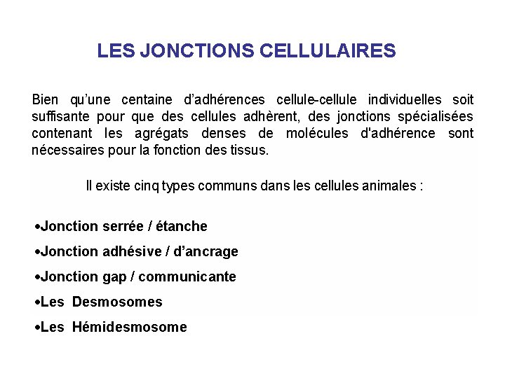 LES JONCTIONS CELLULAIRES Bien qu’une centaine d’adhérences cellule-cellule individuelles soit suffisante pour que des