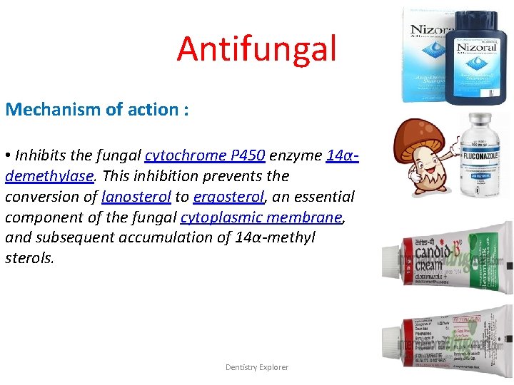 Antifungal Mechanism of action : • Inhibits the fungal cytochrome P 450 enzyme 14αdemethylase.