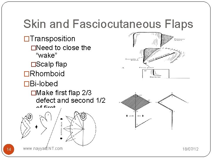 Skin and Fasciocutaneous Flaps �Transposition �Need to close the “wake” �Scalp flap �Rhomboid �Bi-lobed