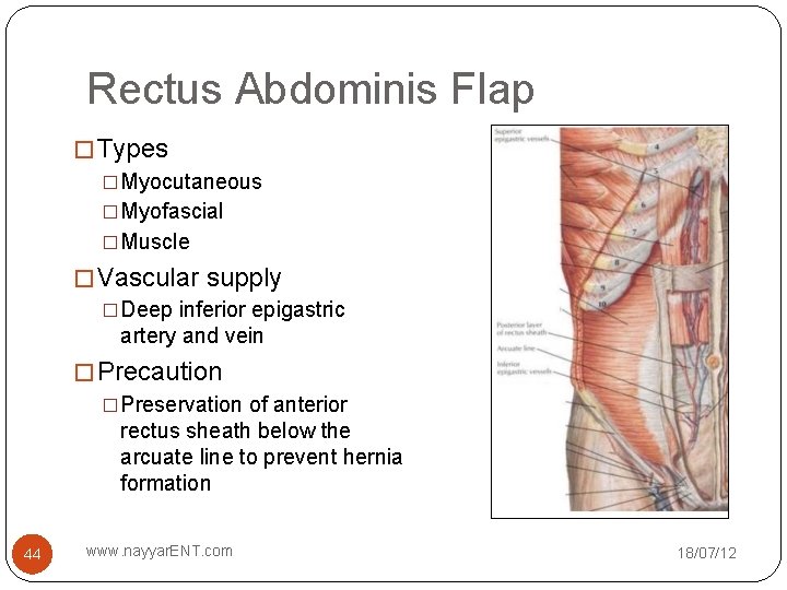 Rectus Abdominis Flap � Types �Myocutaneous �Myofascial �Muscle � Vascular supply �Deep inferior epigastric