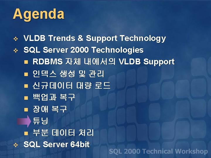 Agenda v v v VLDB Trends & Support Technology SQL Server 2000 Technologies n