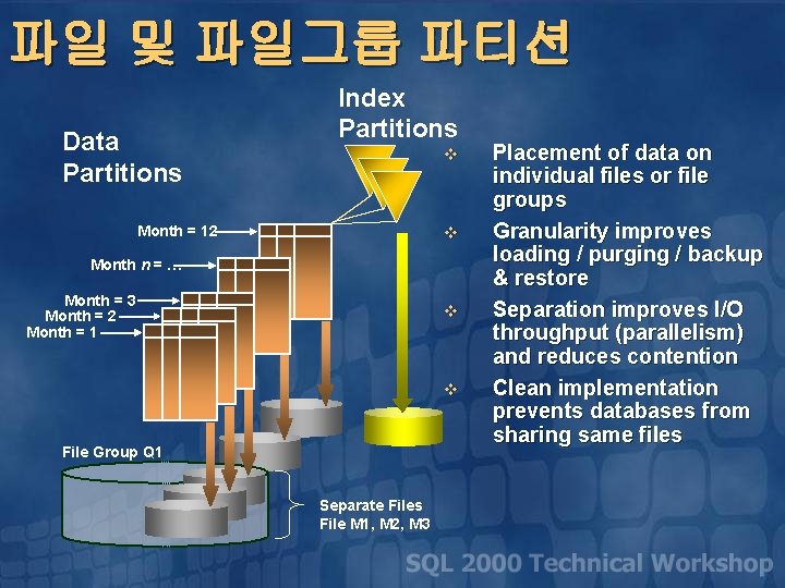 파일 및 파일그룹 파티션 Data Partitions Index Partitions v Month = 12 v Month