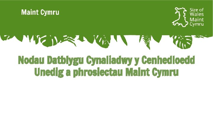 Nodau Datblygu Cynaliadwy y Cenhedloedd Unedig a phrosiectau Maint Cymru 