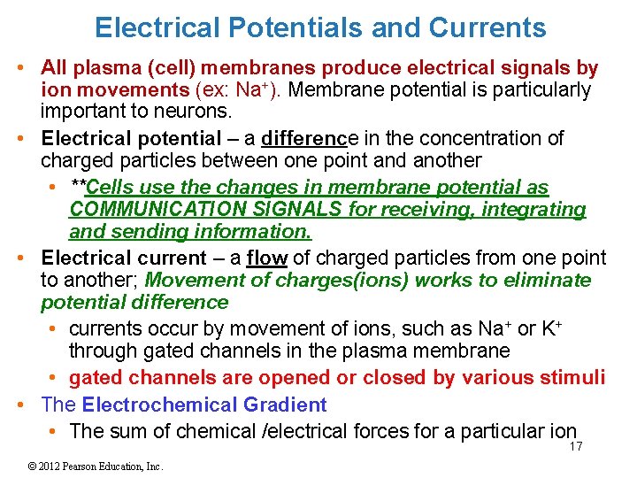 Electrical Potentials and Currents • All plasma (cell) membranes produce electrical signals by ion Electrical Potentials and Currents • All plasma (cell) membranes produce electrical signals by ion