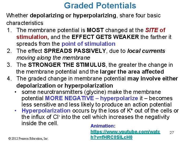 Graded Potentials Whether depolarizing or hyperpolarizing, share four basic characteristics 1. The membrane potential Graded Potentials Whether depolarizing or hyperpolarizing, share four basic characteristics 1. The membrane potential
