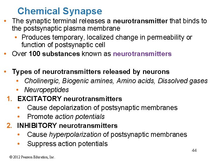 Chemical Synapse • The synaptic terminal releases a neurotransmitter that binds to the postsynaptic Chemical Synapse • The synaptic terminal releases a neurotransmitter that binds to the postsynaptic