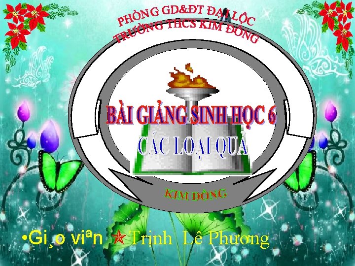  • Gi¸o viªn Trịnh Lê Phương 